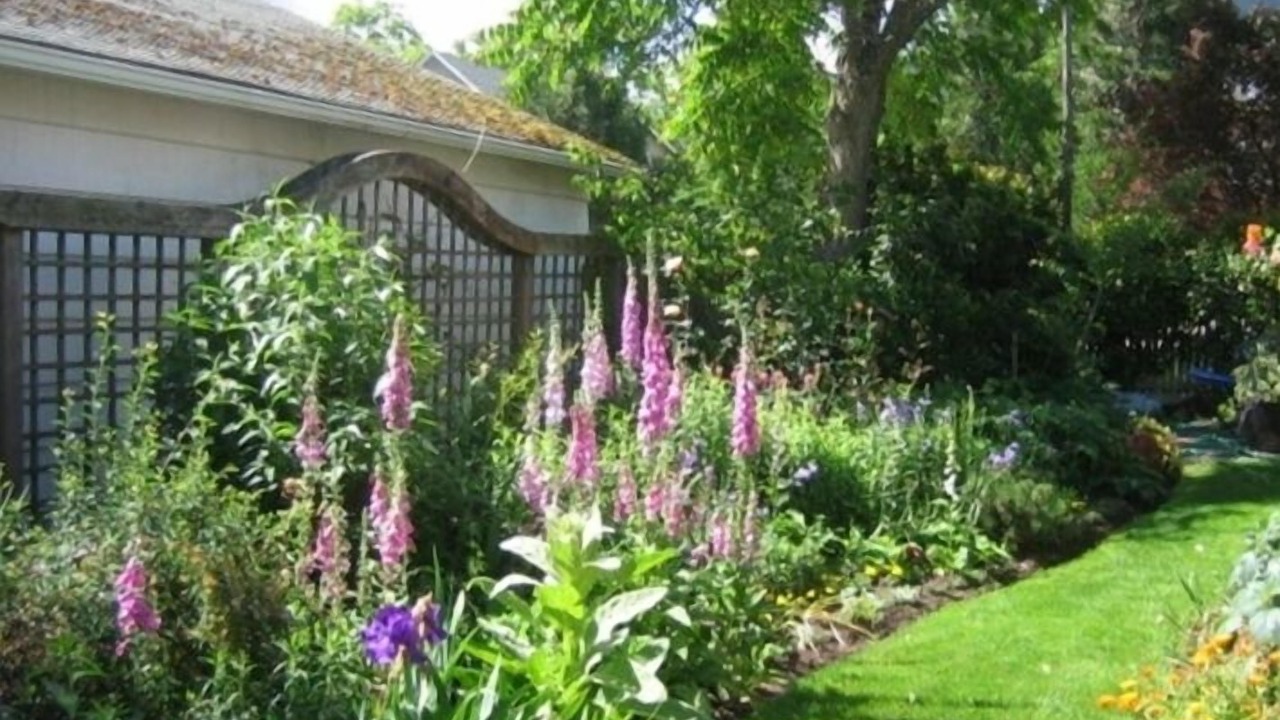 Photo of Outdoor in Ashland