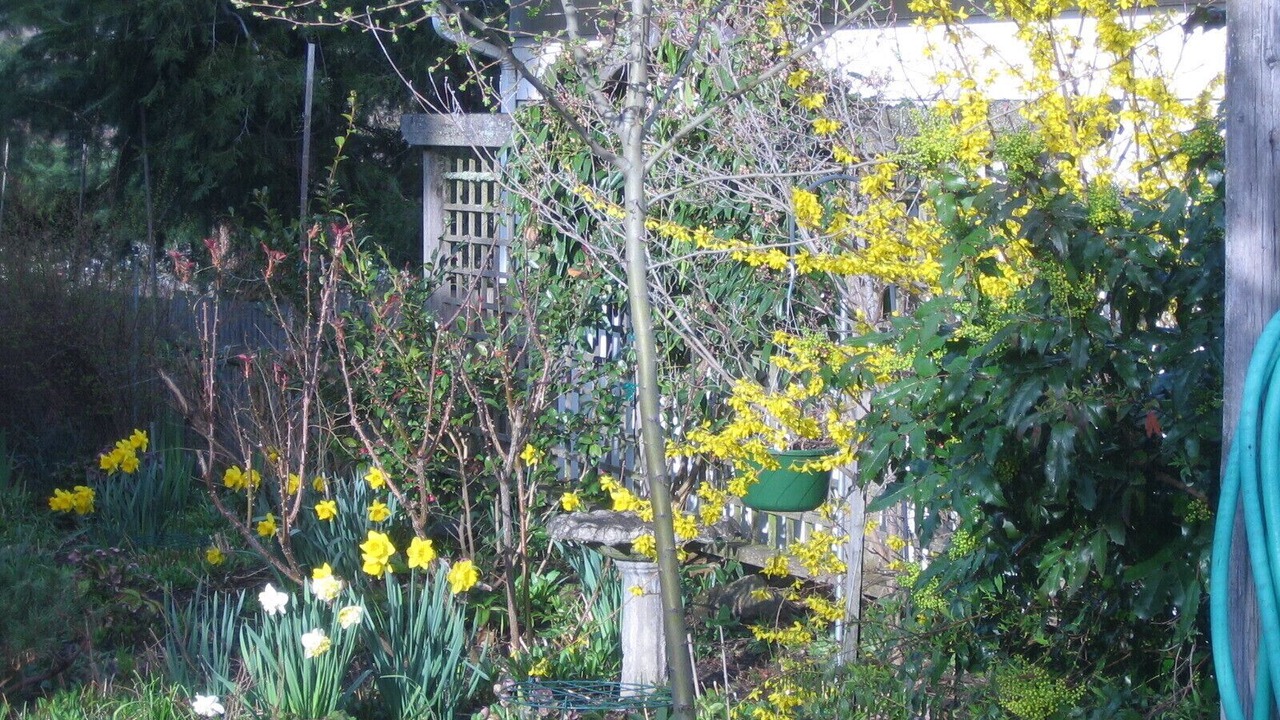 Photo of Outdoor in Ashland