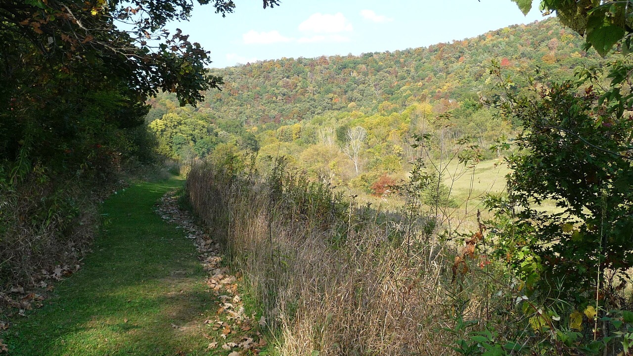 Photo of Outdoor in Coon Valley