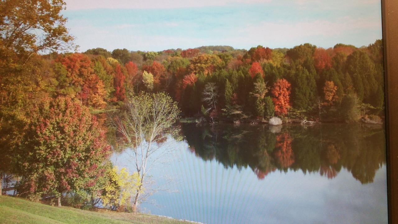 Photo of Others in Mount Juliet