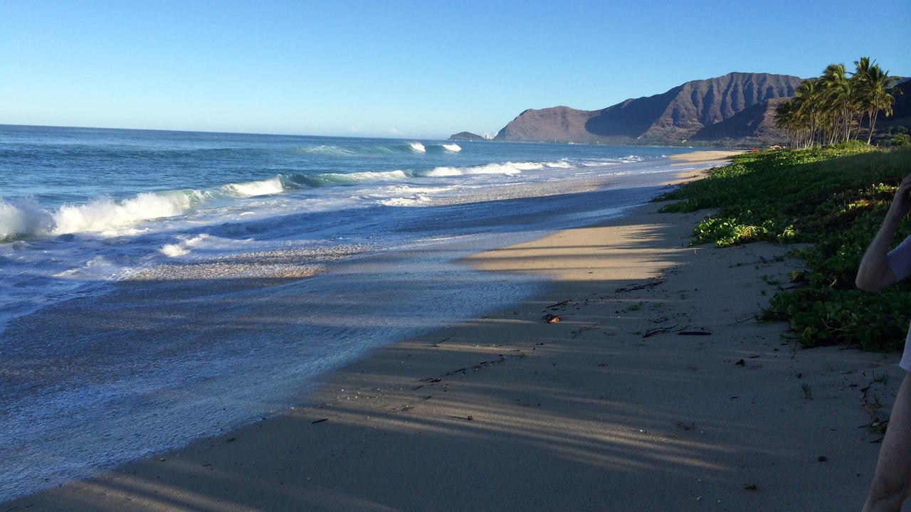 Photo of Others in Maili