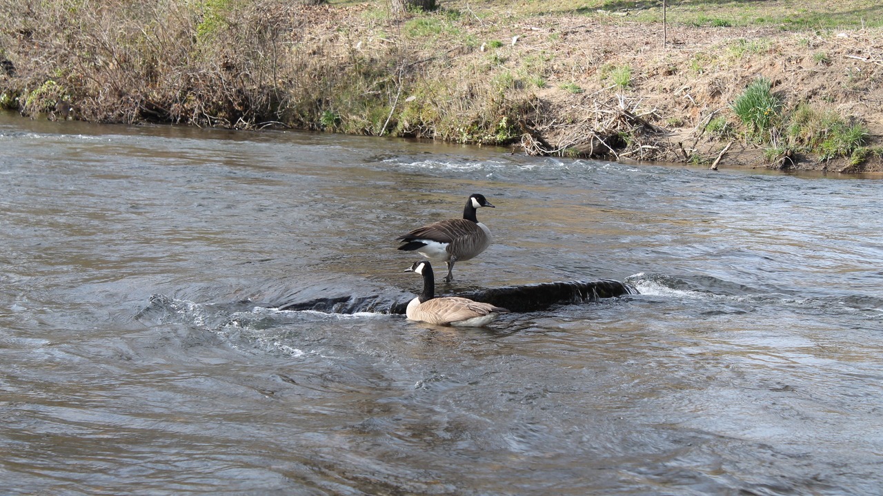 Photo of Others in Franklin