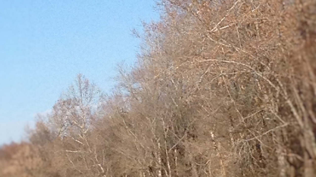 Photo of Others in Steelville