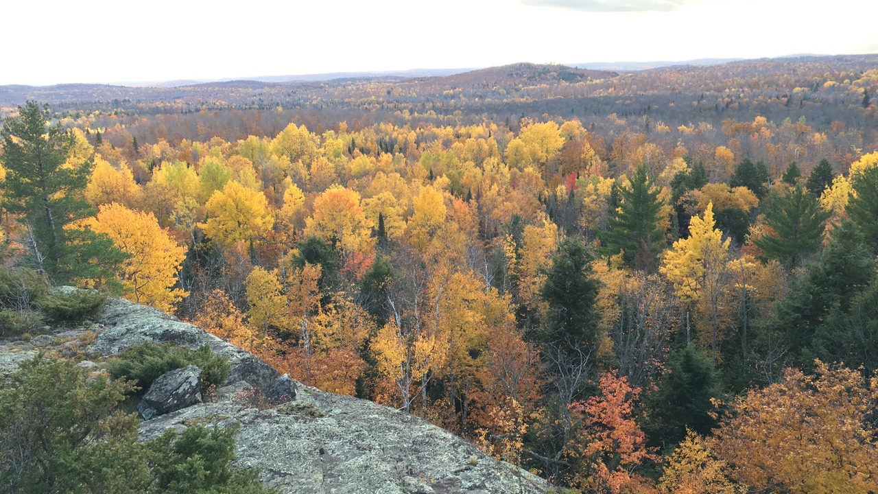 Photo of Others in Marquette