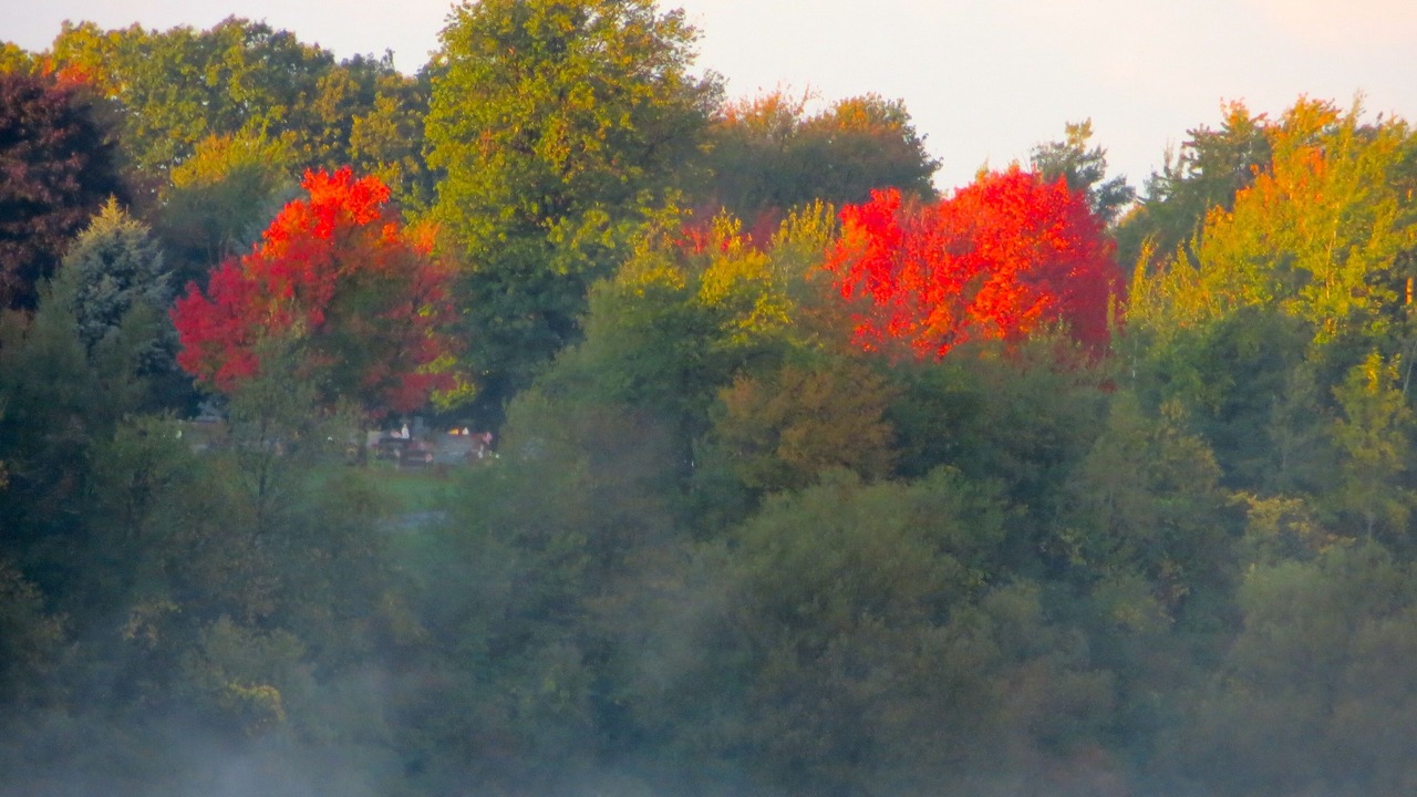 Photo of Outdoor in Oswego