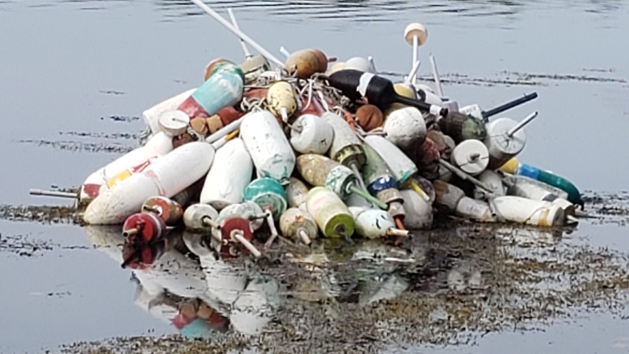 Photo of Others in Kennebunk