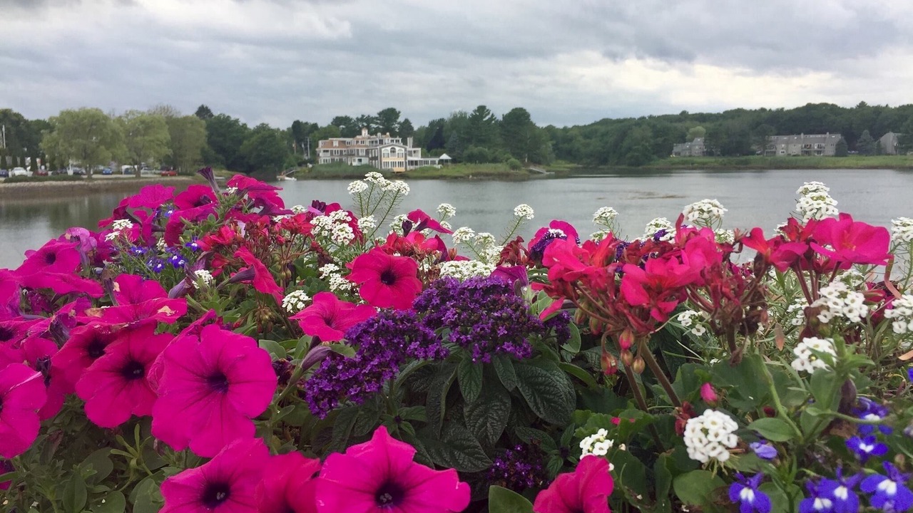 Photo of Outdoor in Kennebunk