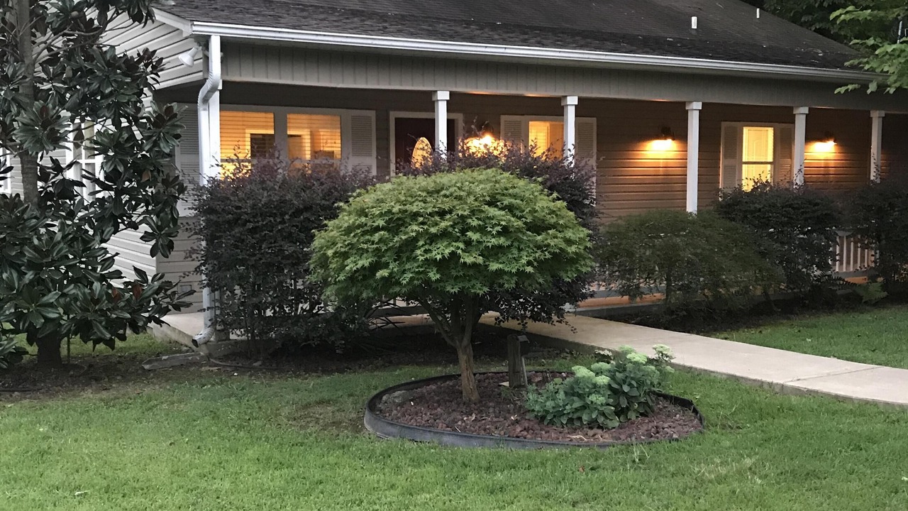 Photo of Outdoor in Piney