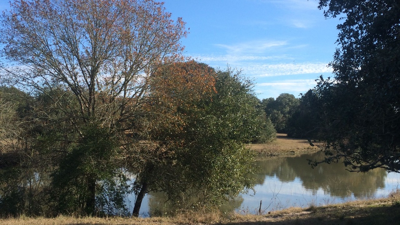 Photo of Outdoor in Brenham
