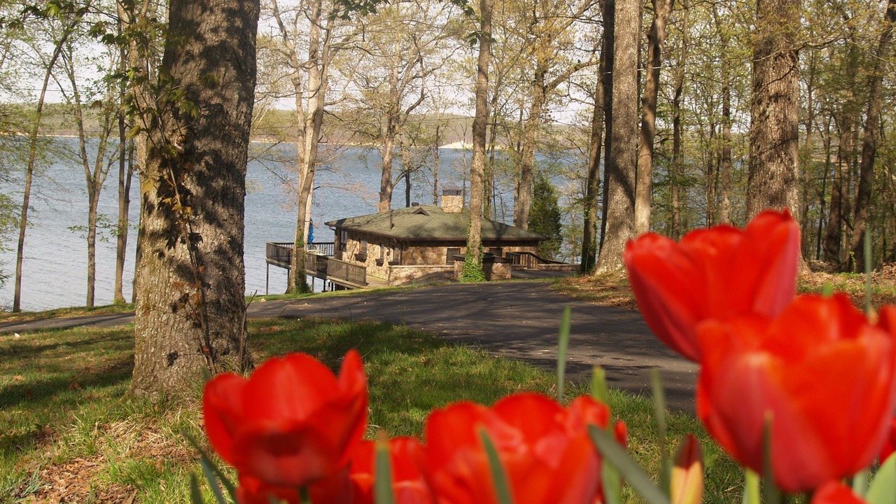Photo of Outdoor in Almo