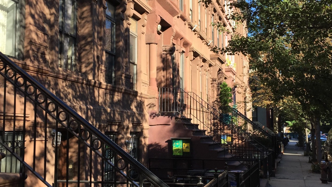Photo of Others in East Harlem
