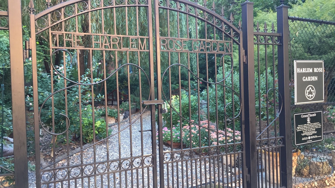 Photo of Outdoor in East Harlem