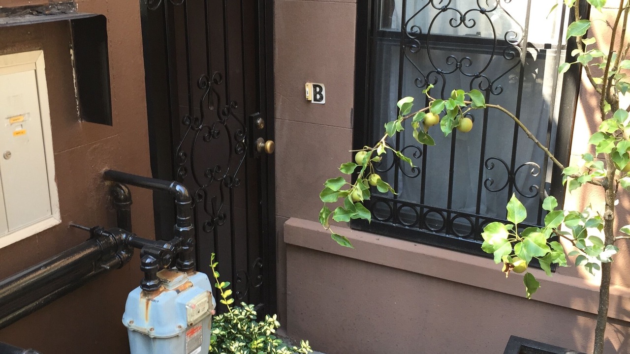 Photo of Outdoor in East Harlem