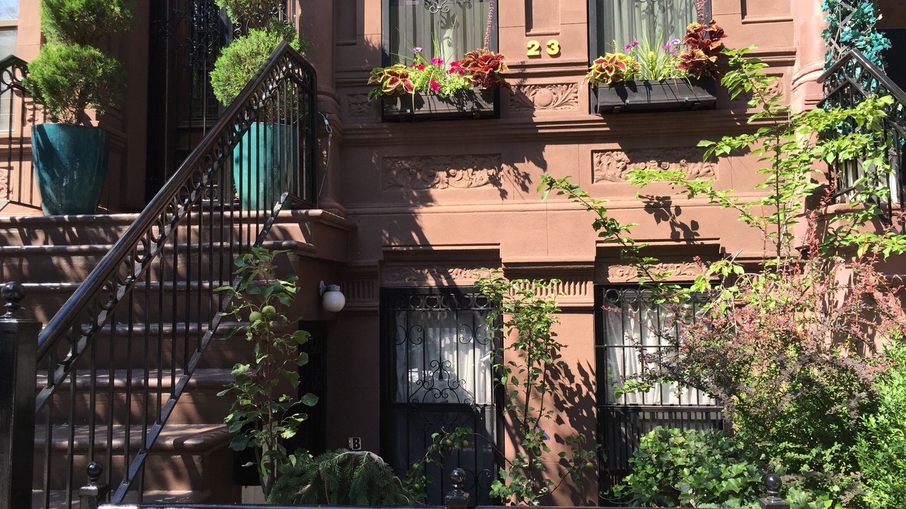 Photo of Others in East Harlem