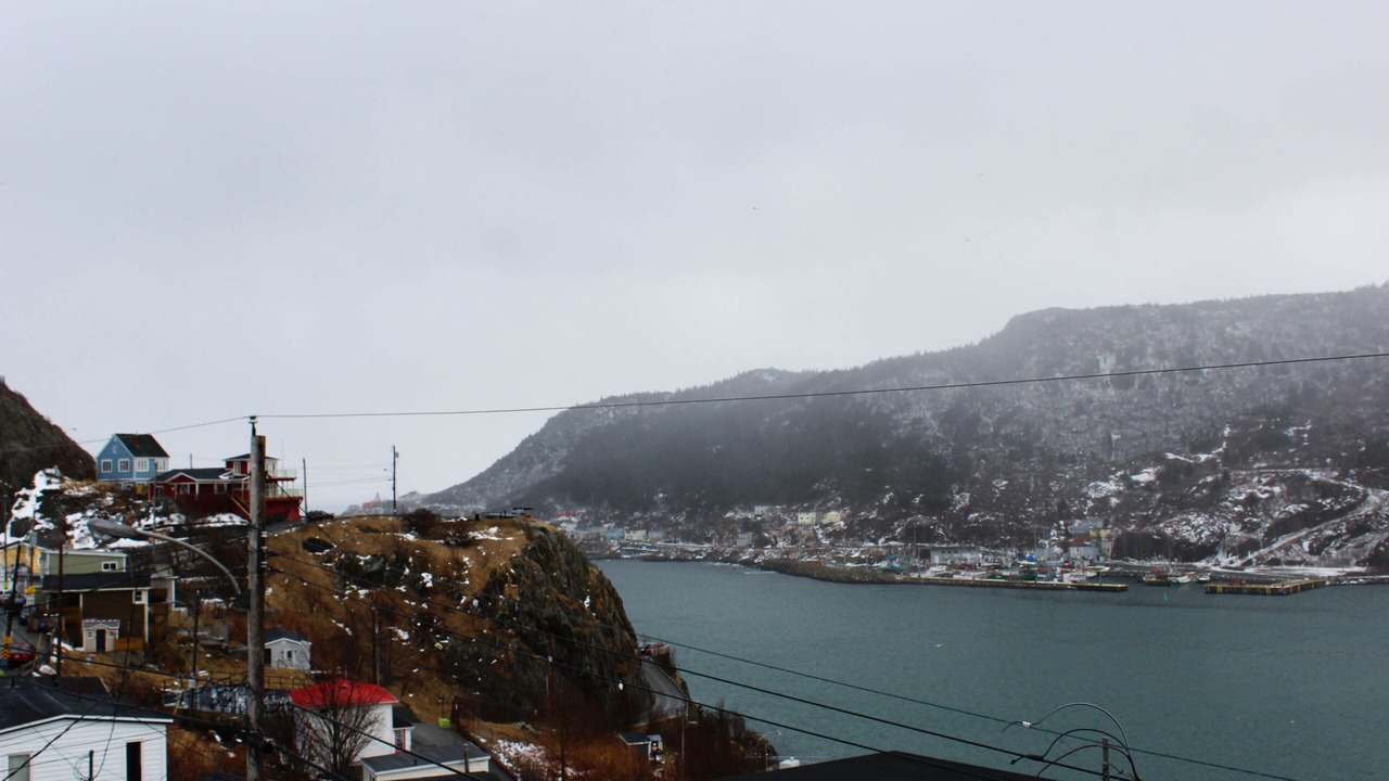 Photo of Others in Downtown St. John's