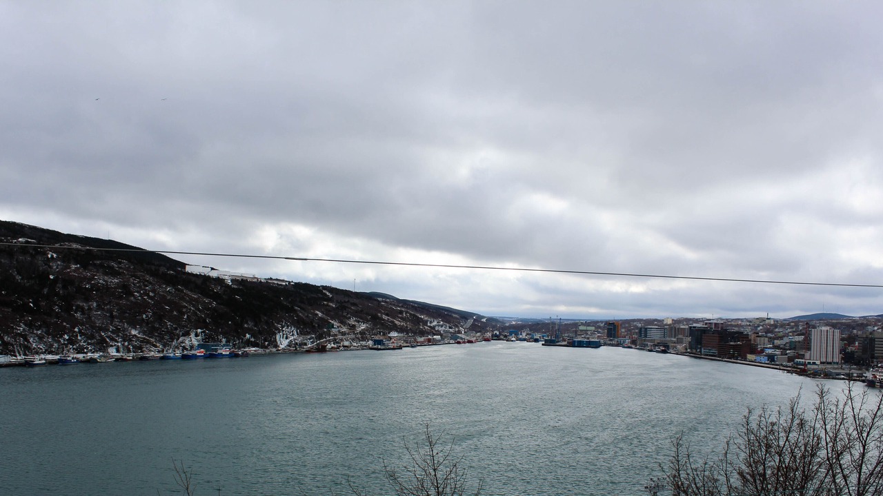 Photo of Others in Downtown St. John's