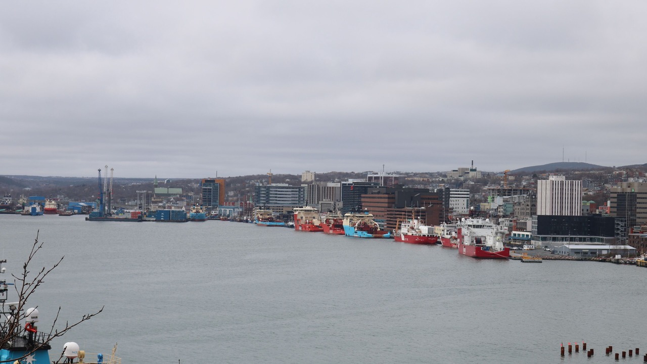Photo of Others in Downtown St. John's
