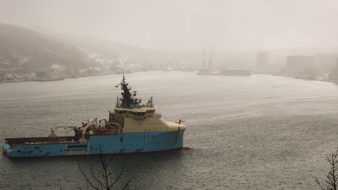 Photo of Others in Downtown St. John's