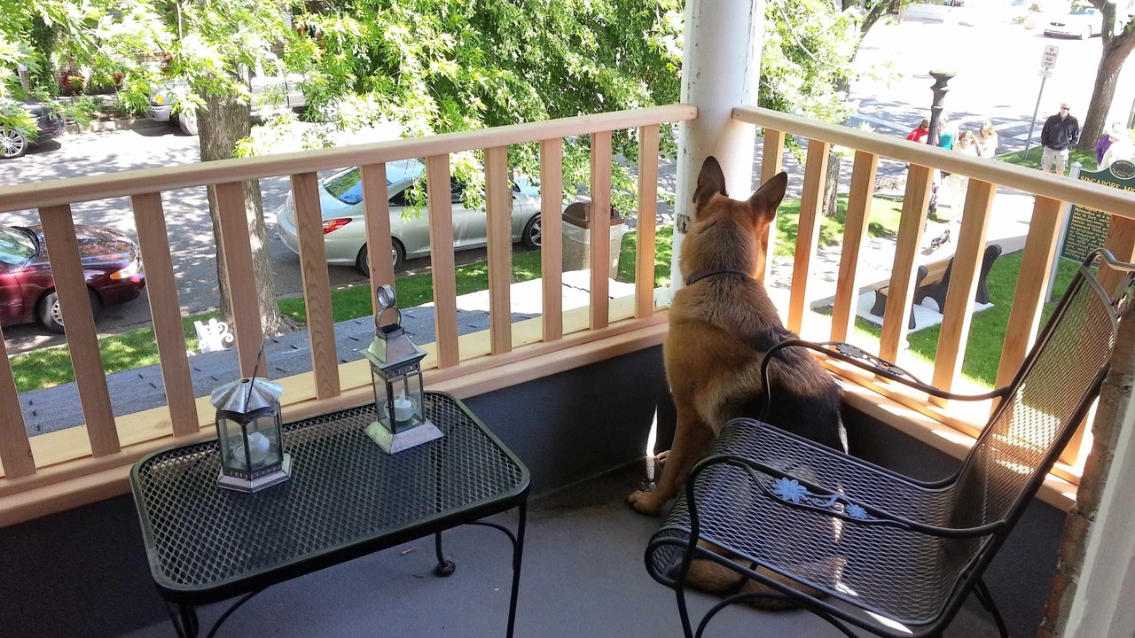 Photo of Outdoor in Saugatuck