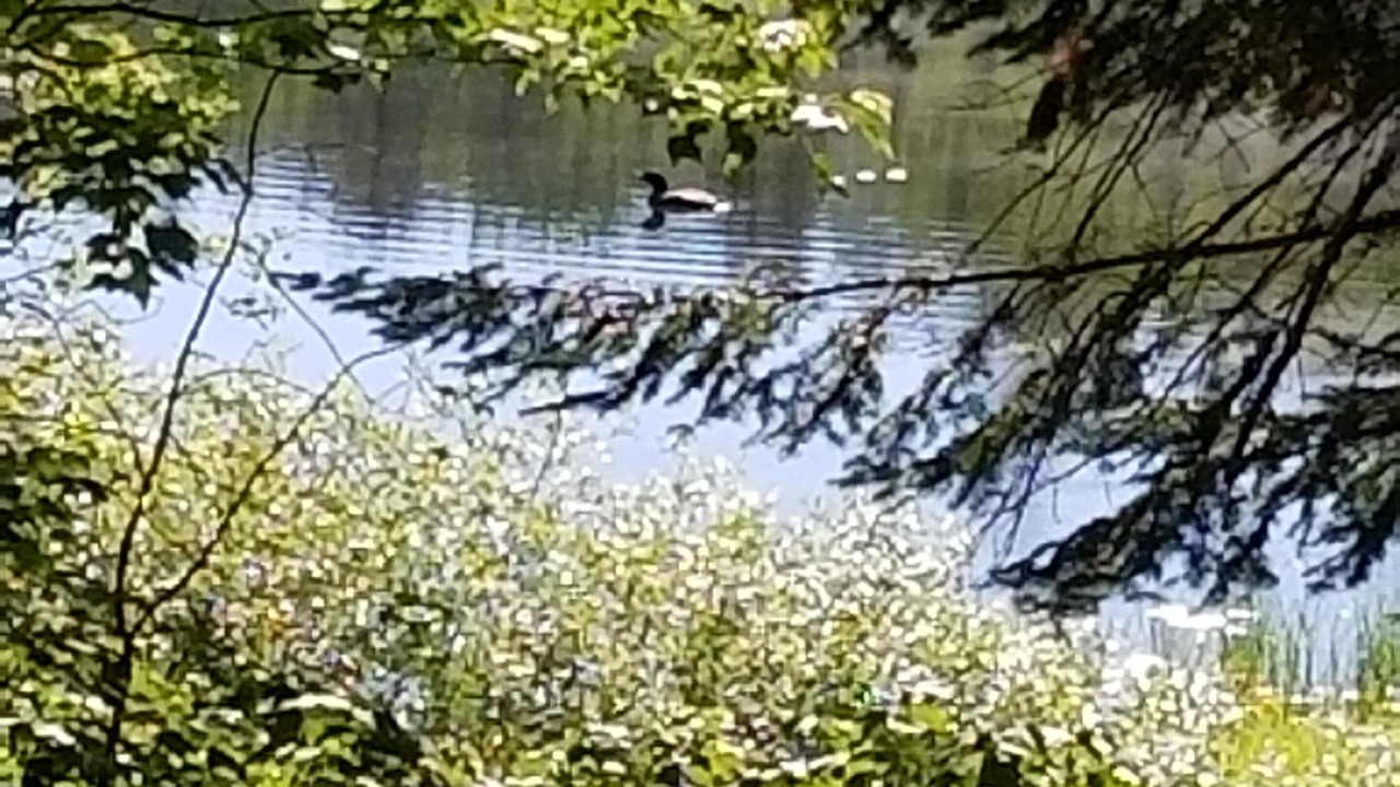 Photo of Outdoor in Eden