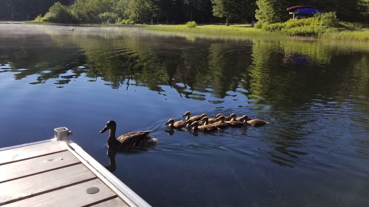 Photo of Others in Eden