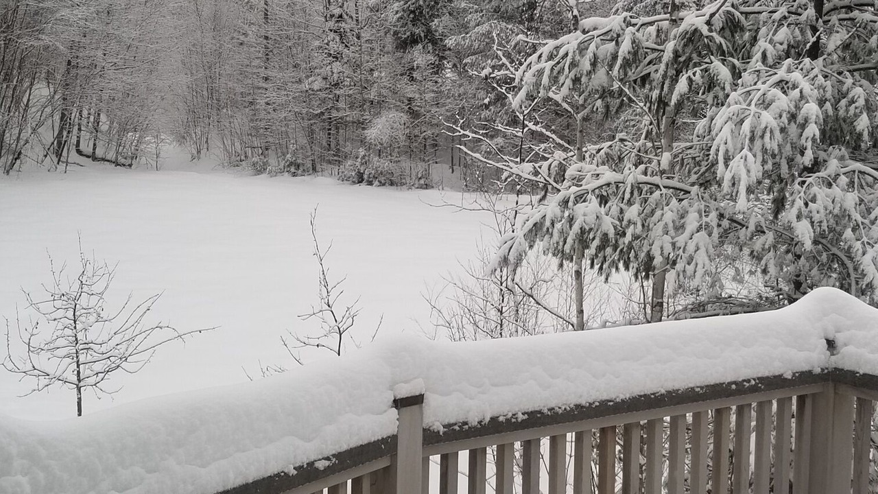 Photo of Outdoor in Eden