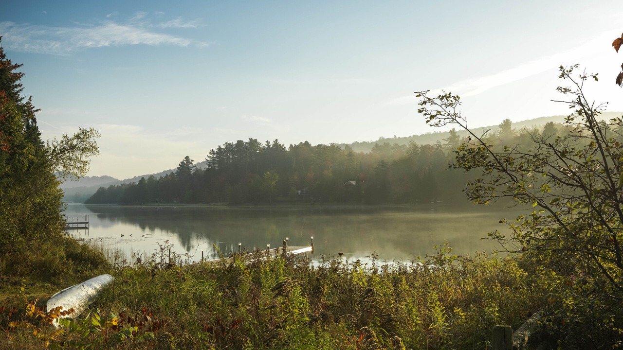 Photo of Others in Eden