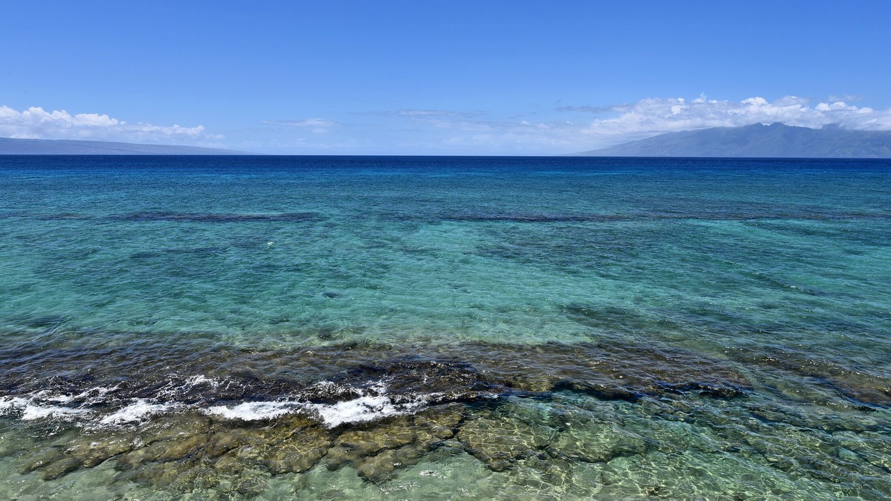 Photo of Others in Honokowai