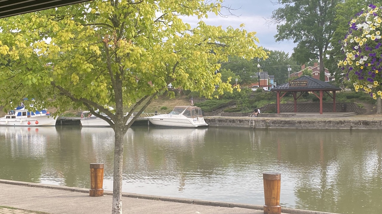 Photo of Others in Pittsford