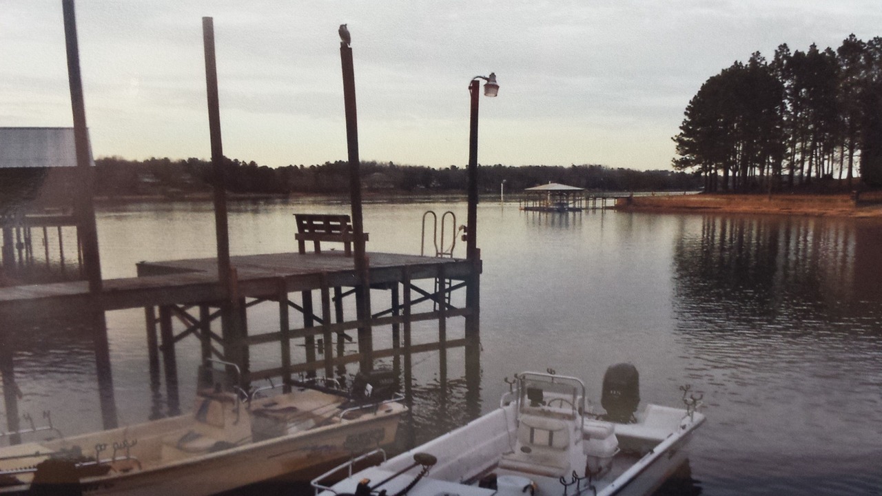 Photo of Others in Stemley