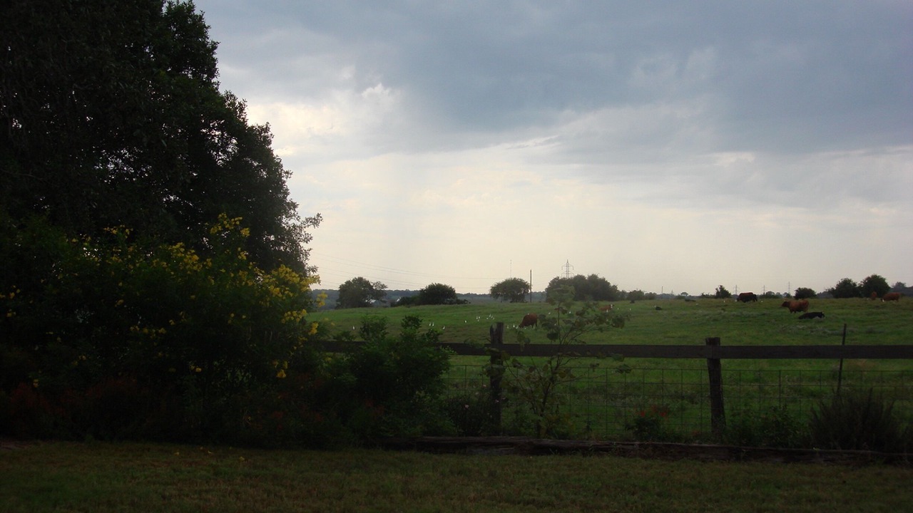 Photo of Outdoor in Seguin