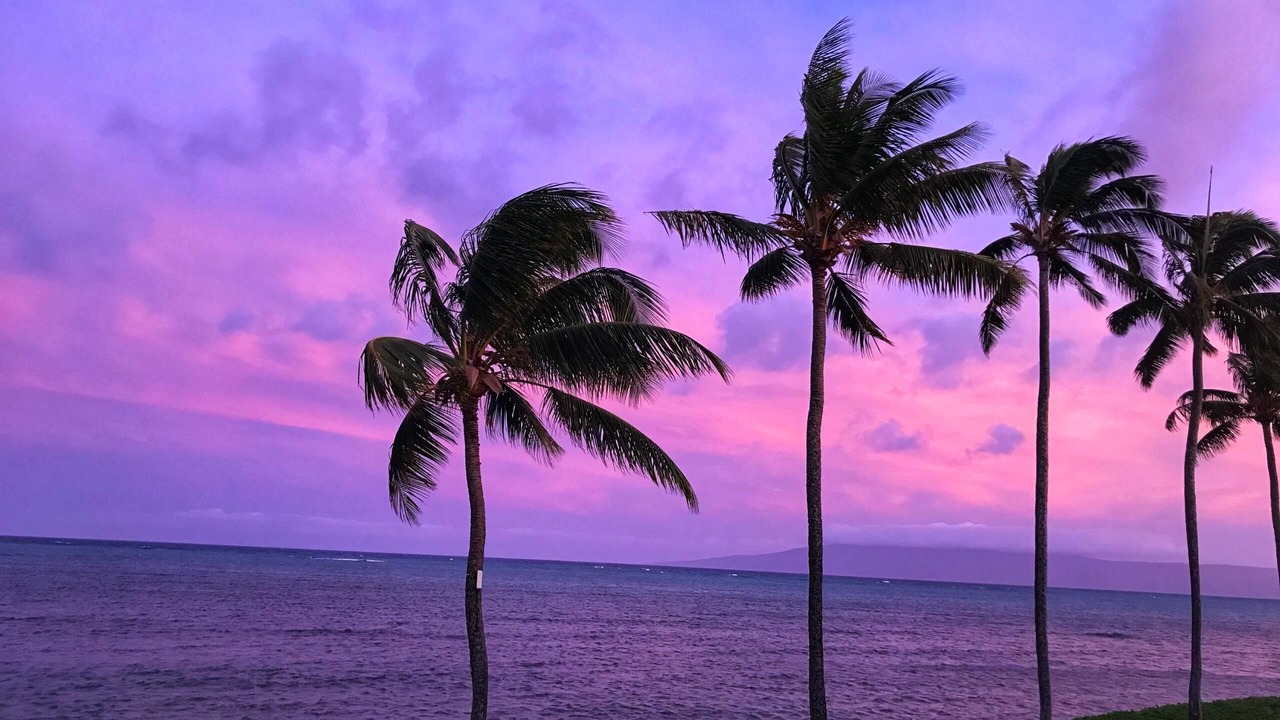 Photo of Others in Ualapue