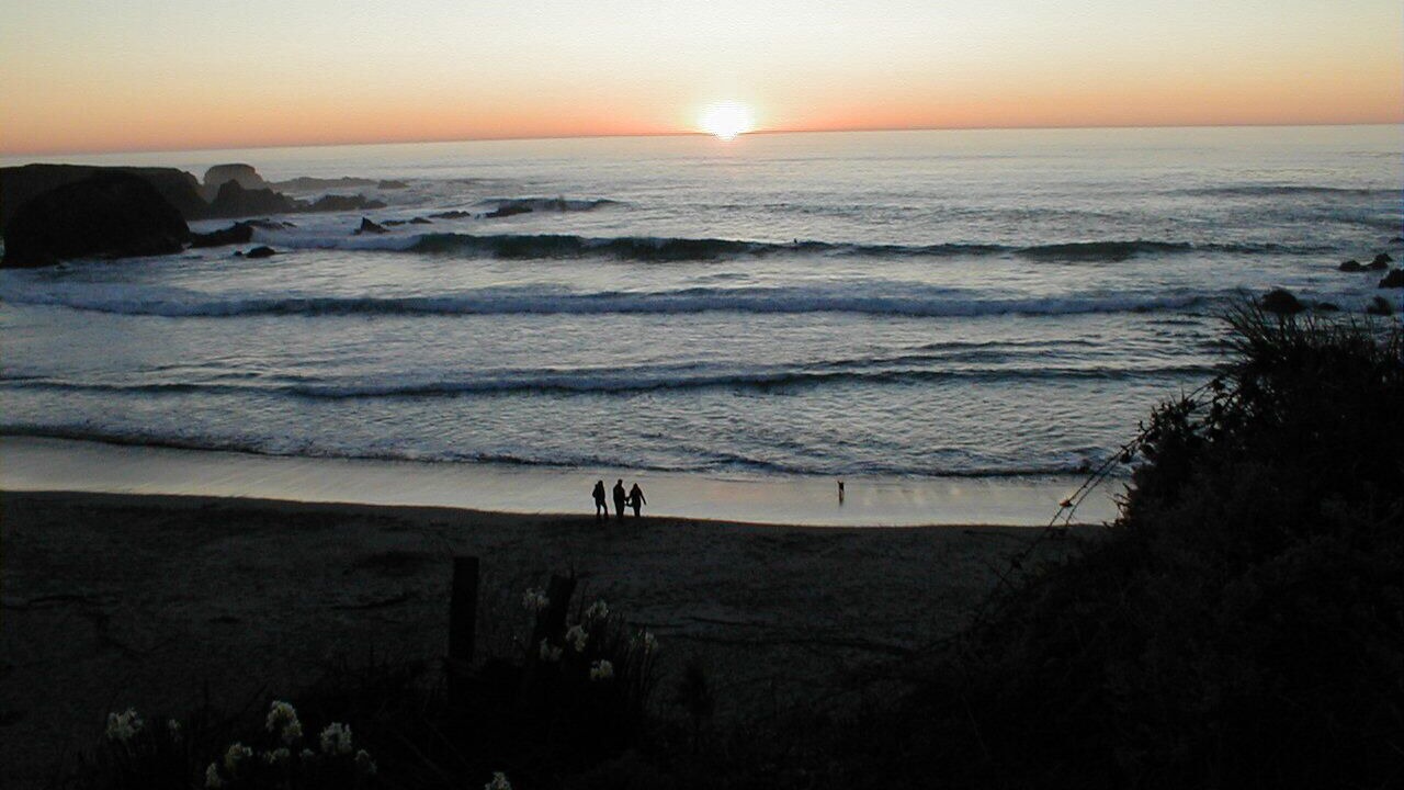 Photo of Others in Fort Bragg