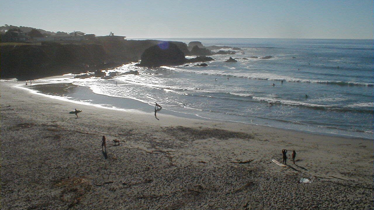 Photo of Others in Fort Bragg