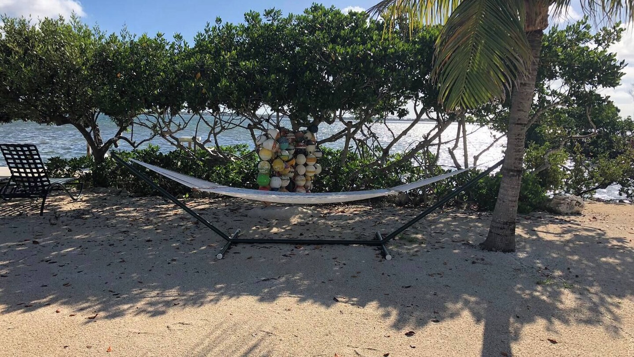 Photo of Others in Little Torch Key