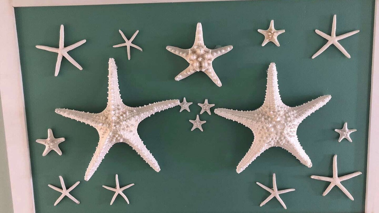 Photo of Others in Little Torch Key