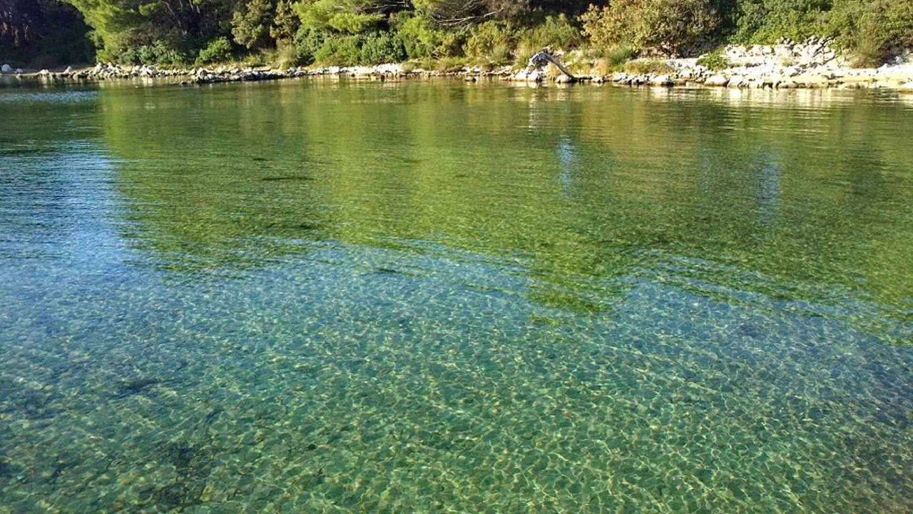 Photo of Outdoor in Molat