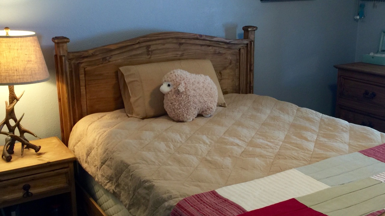 Photo of Bedroom in Florissant