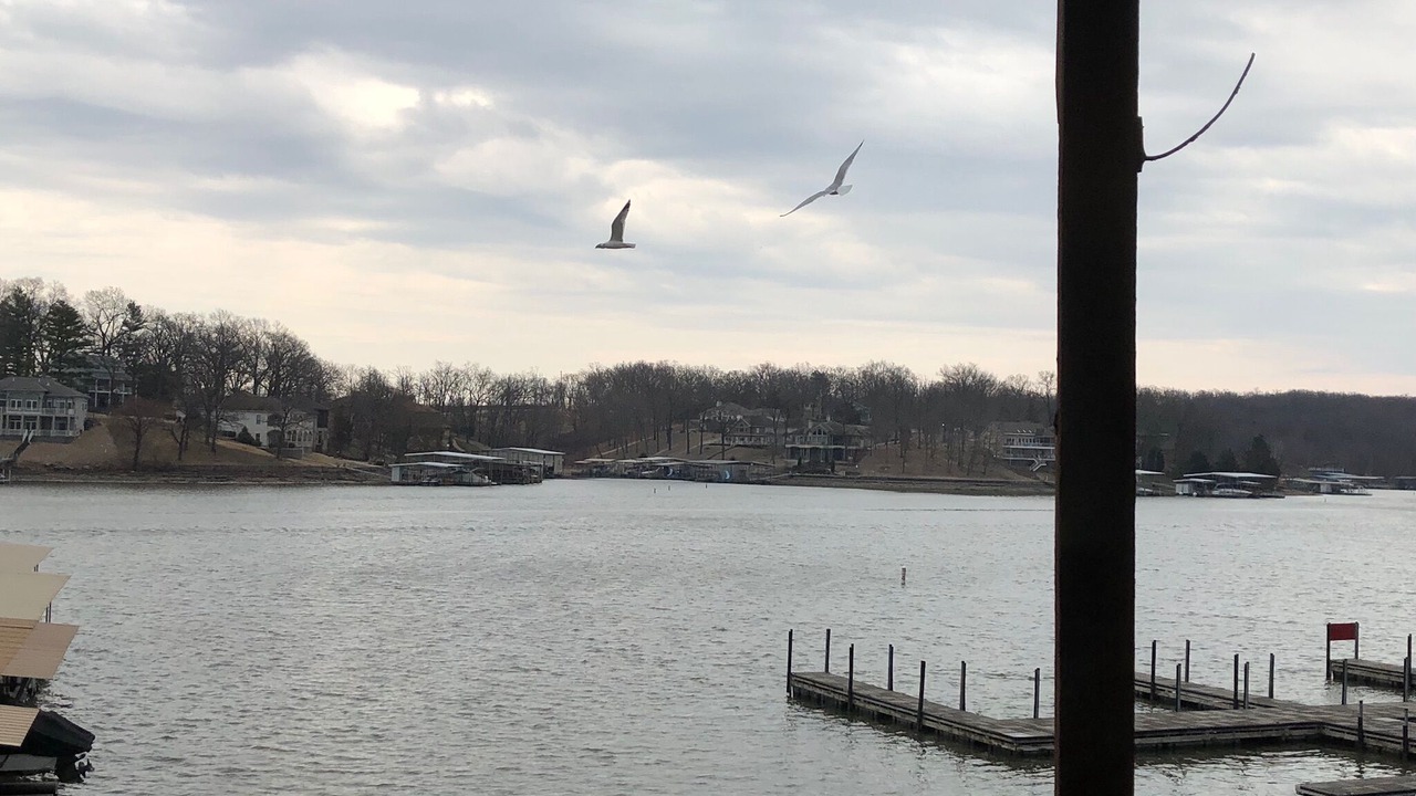 Photo of Outdoor in Osage Beach