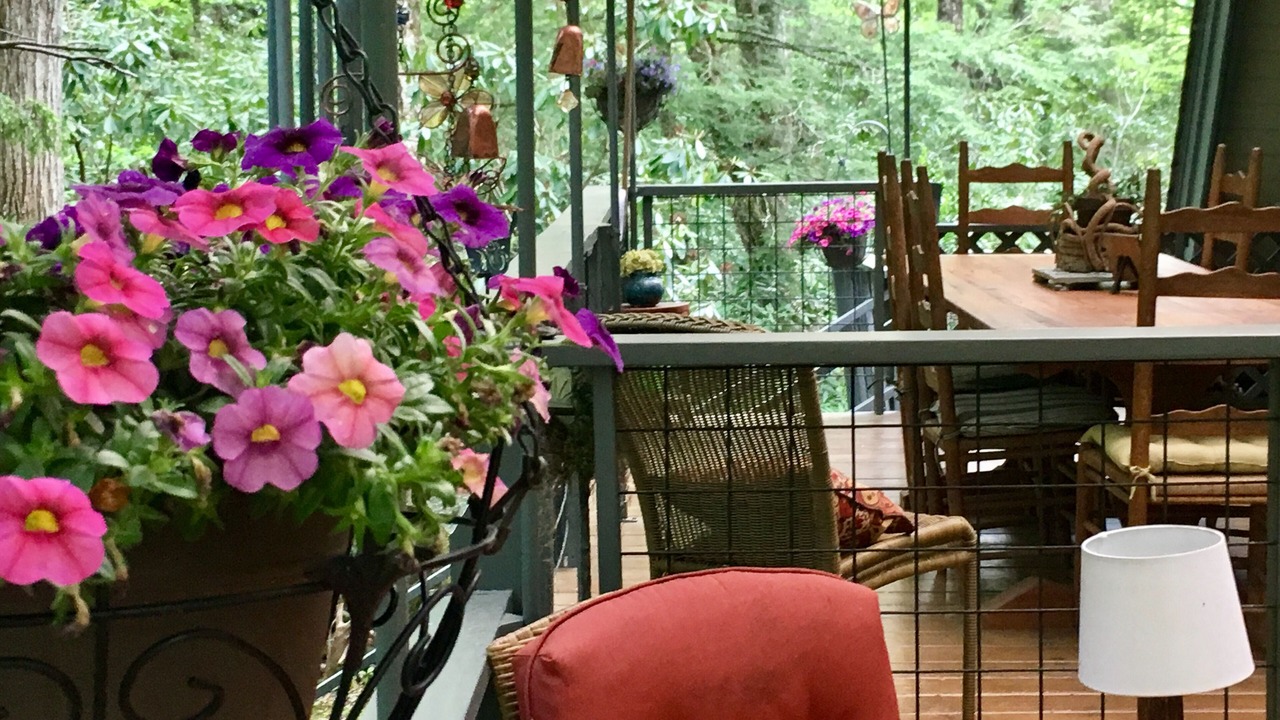 Photo of Others in Boone