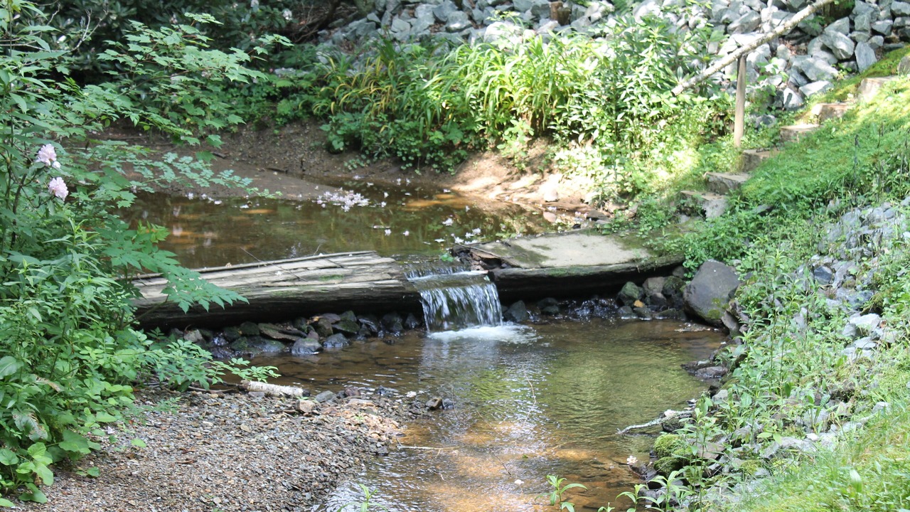 Photo of Others in Boone