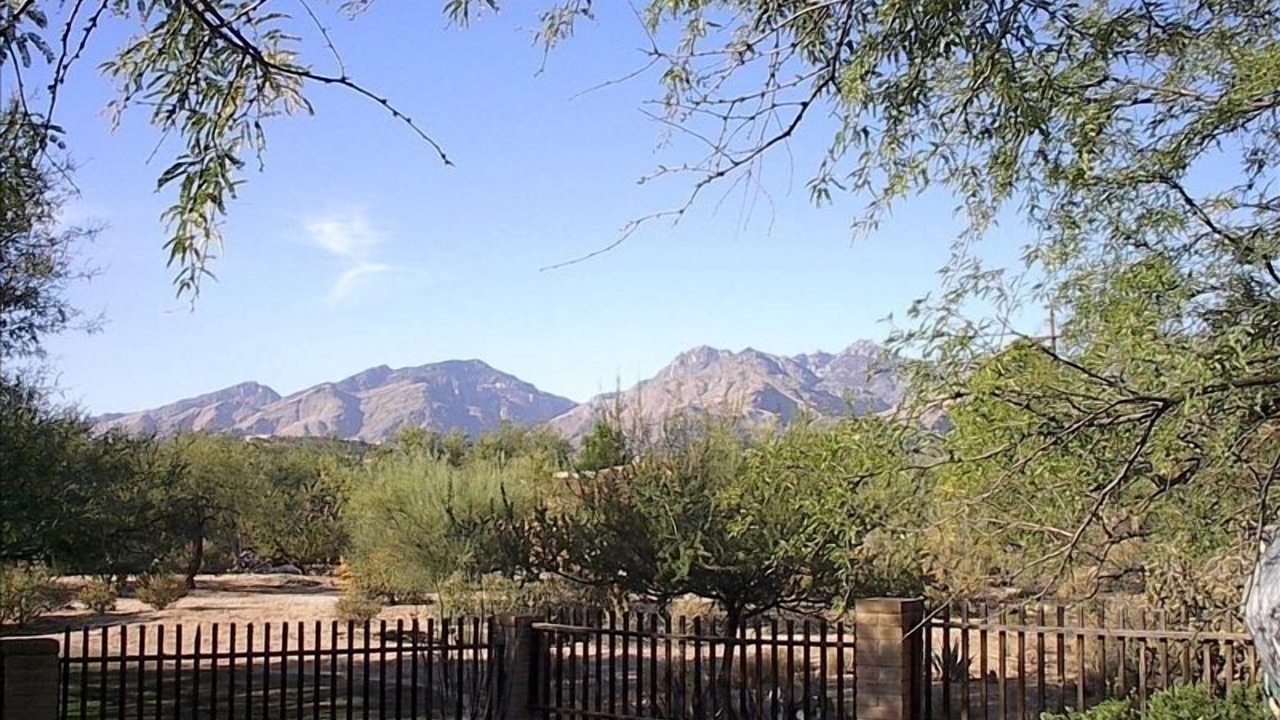 Photo of Others in Tanque Verde