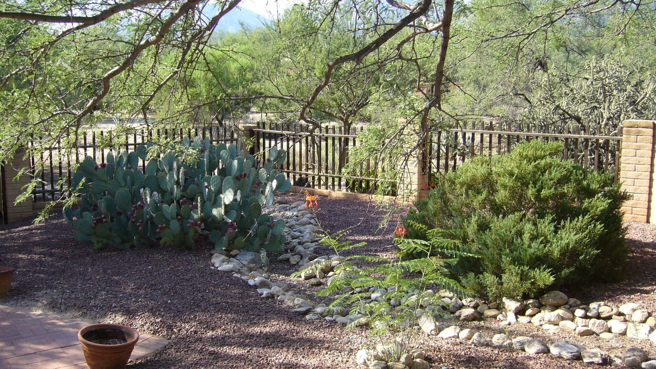 Photo of Outdoor in Tanque Verde