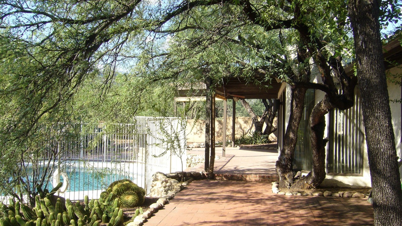 Photo of Others in Tanque Verde