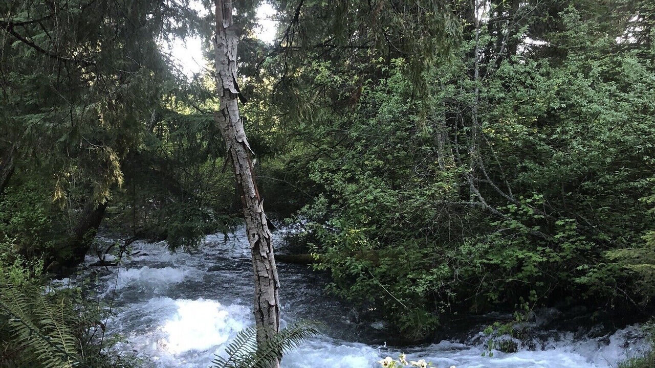 Photo of Outdoor in Prospect