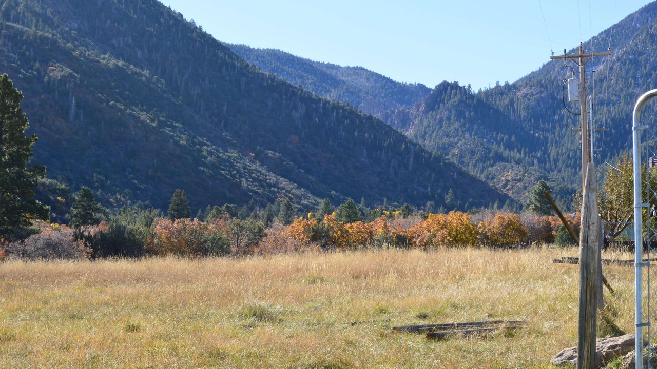 Photo of Others in Pine Valley