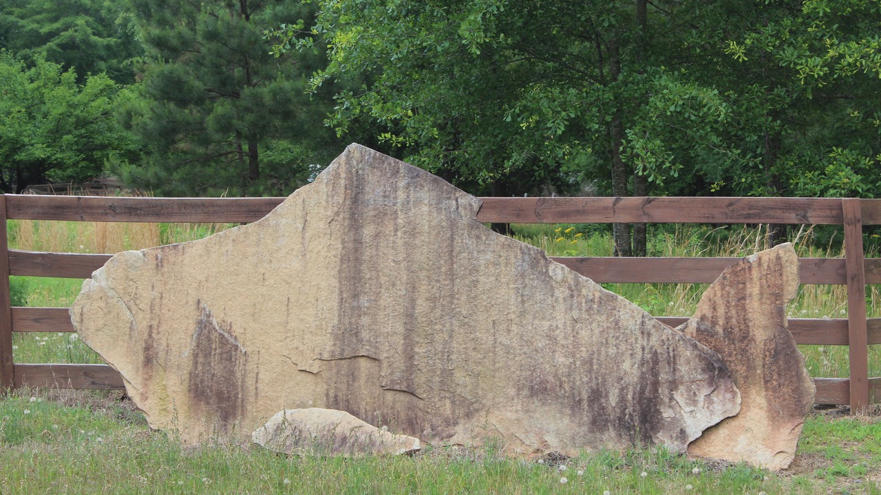 Photo of Outdoor in Covington