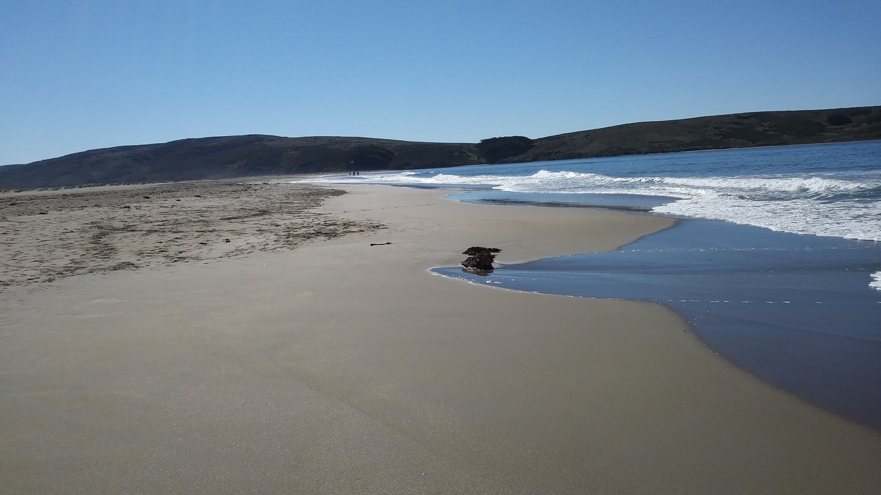 Photo of Others in Dillon Beach
