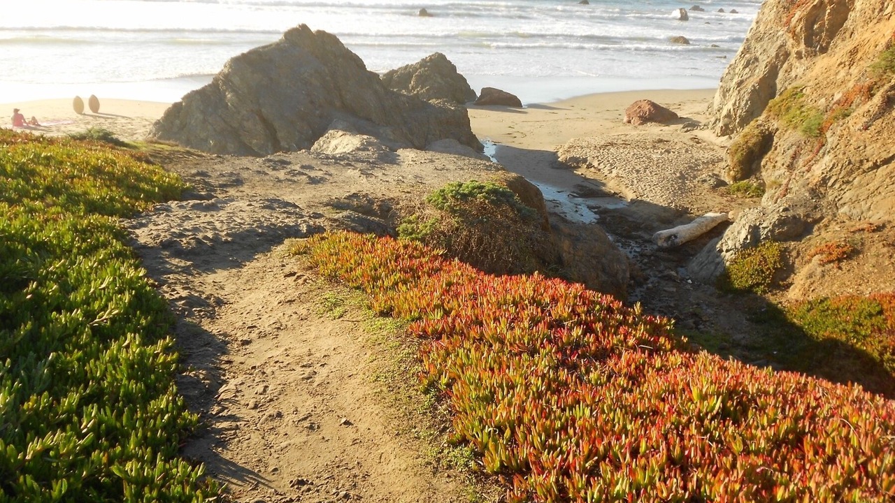 Photo of Others in Dillon Beach