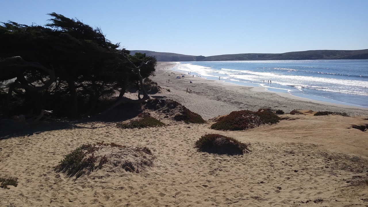 Photo of Others in Dillon Beach